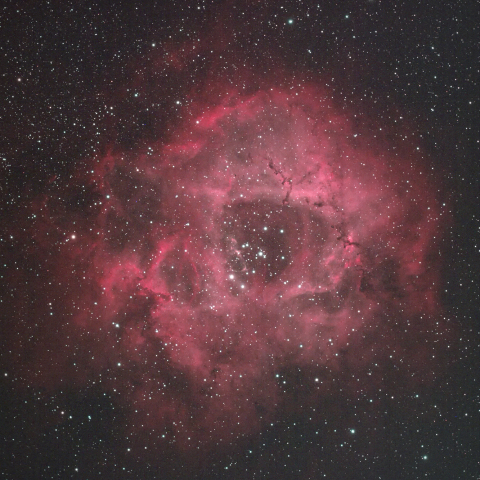 NGC2237 ばら星雲