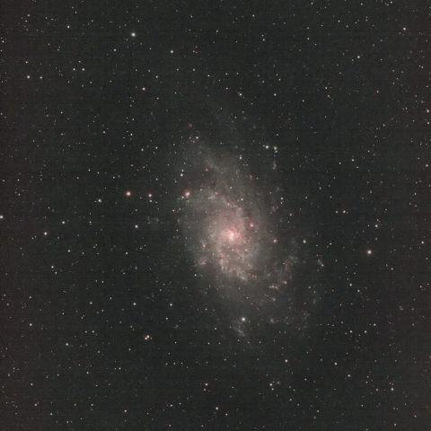 M33