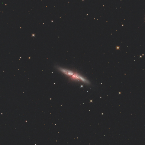 M82