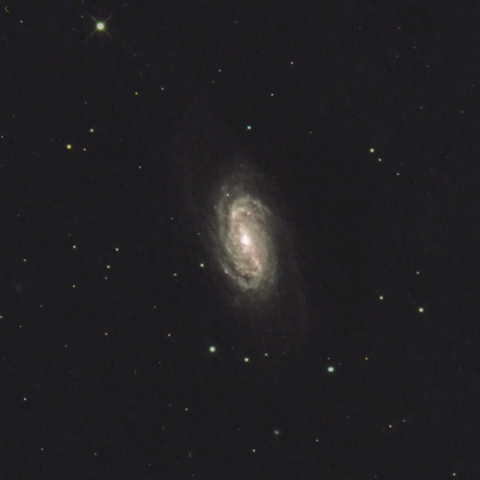 NGC2903
