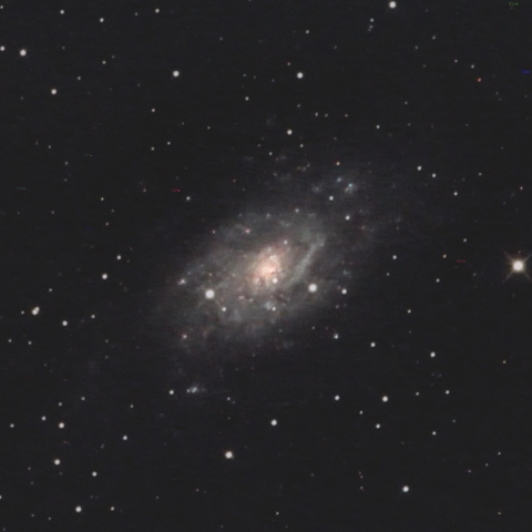 NGC2403
