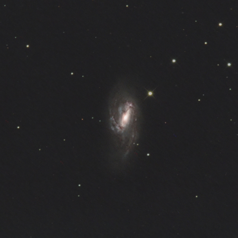 M66