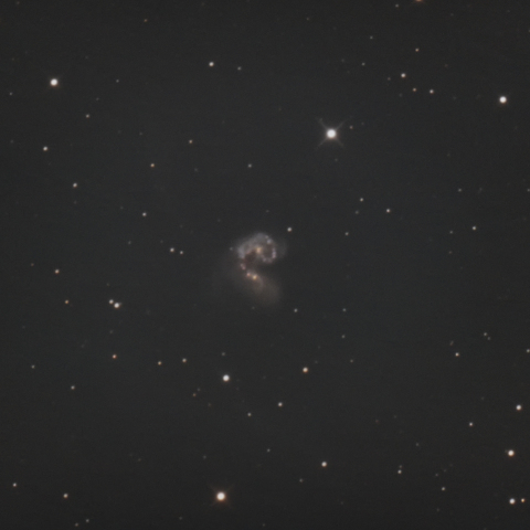 NGC4038 触覚銀河