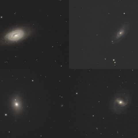 春の銀河祭り（かみのけ座M銀河No.1）