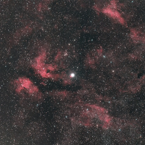 はくちょう座サドル周辺