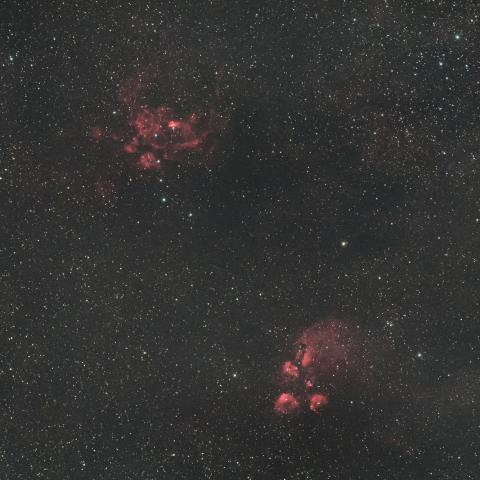 NGC6334 出目金星雲 ／ NGC6357 彼岸花星雲