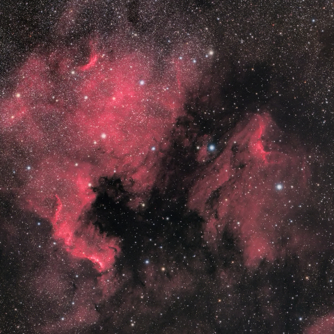 NGC7000(北アメリカ星雲) / IC5070(ペリカン星雲)