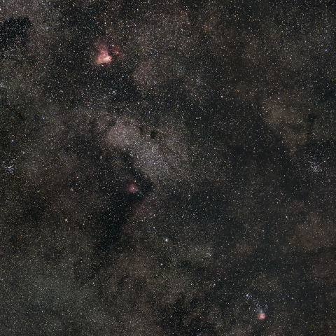 バンビの横顔【再編集】