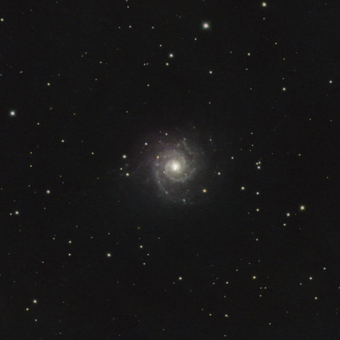 M74