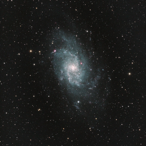M33
