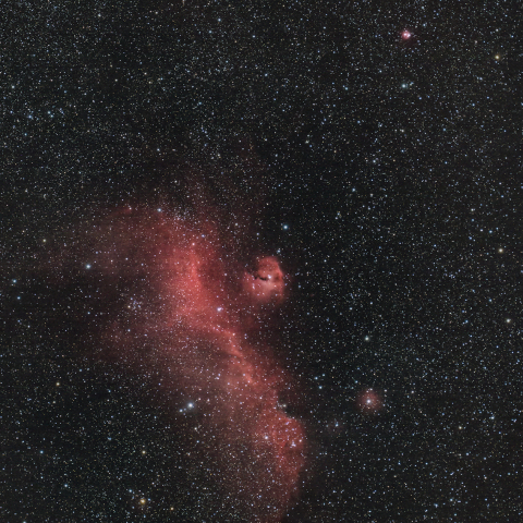 IC2177 かもめ星雲 / M50