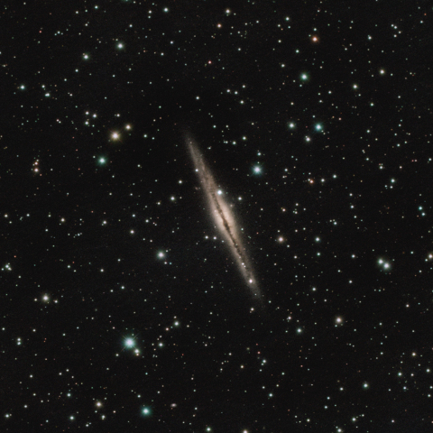 NGC891