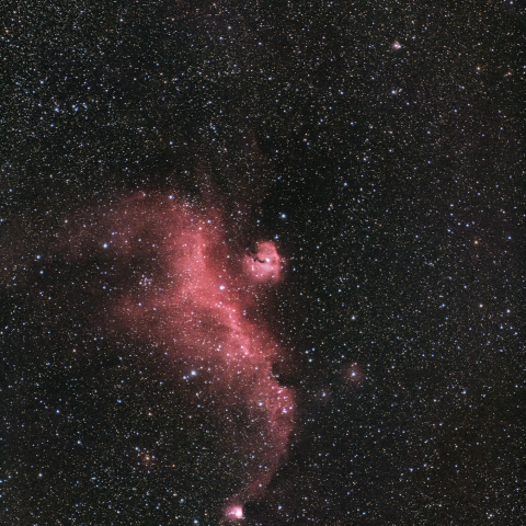 IC2177 かもめ星雲 / M50