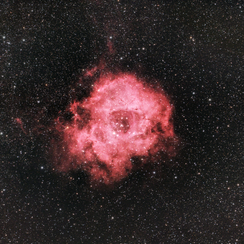 NGC2237 ばら星雲