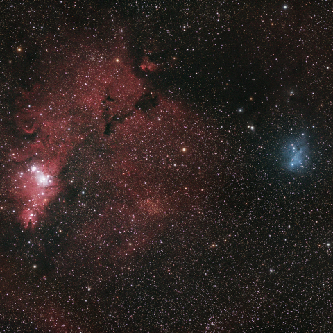 NGC2264 コーン星雲 / IC2169
