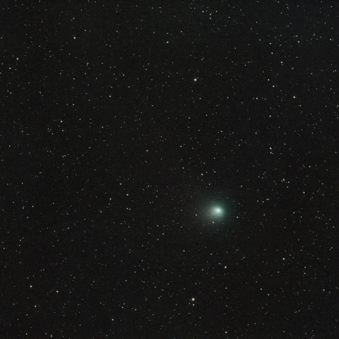 きりん座のZTF彗星 (2023/2/1)