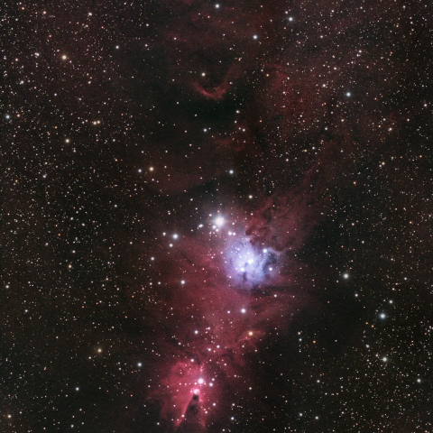NGC2264 コーン星雲/クリスマスツリー星団