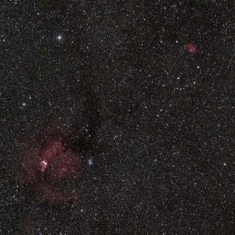 NGC2237（バラ星雲）/ NGC2264（コーン星雲）/ NGC2174（モンキー星雲）
