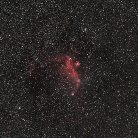 IC2177 かもめ星雲 / NGC2359 トールの兜星雲 / M50