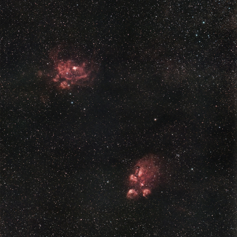 NGC6334 出目金星雲 ／ NGC6357 彼岸花星雲
