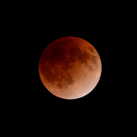 暁色の月（2011.12.10皆既月食）