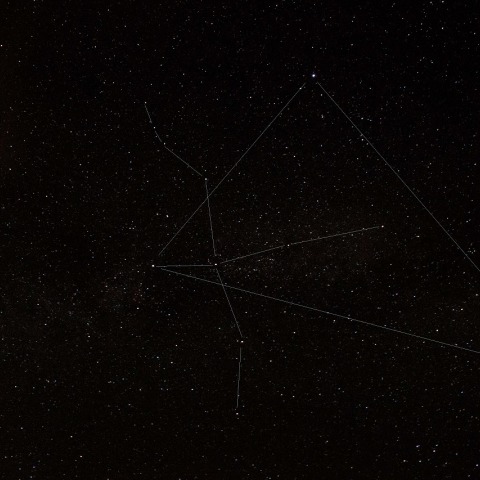 夏の大三角と白鳥座