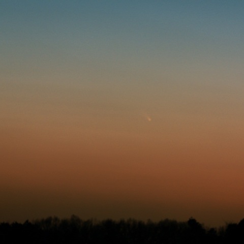 パンスターズ彗星（3/11）