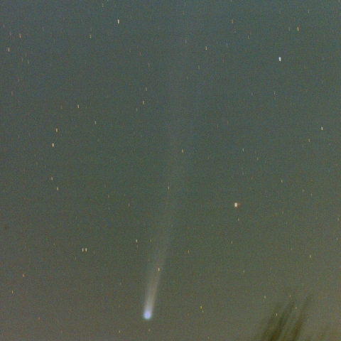 アイソン彗星　2013/11/22