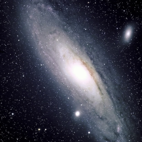 M31
