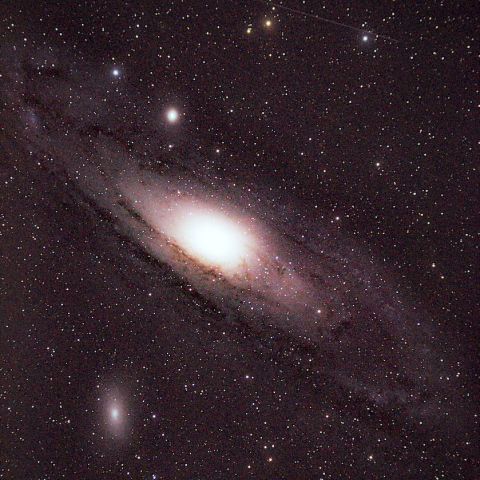 M31