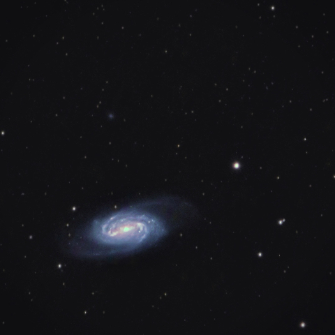 NGC 2903
