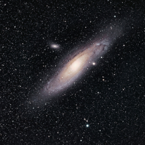M31