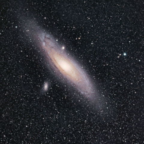 M31 