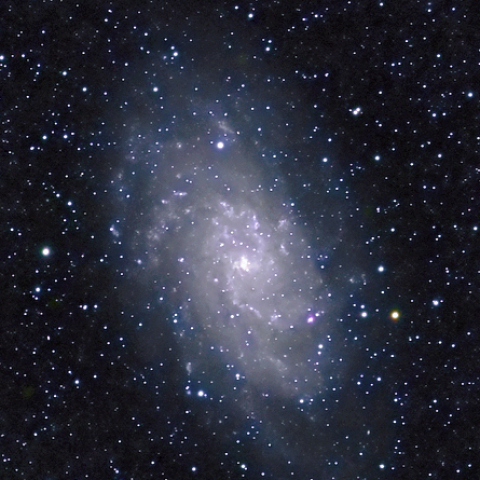 M33