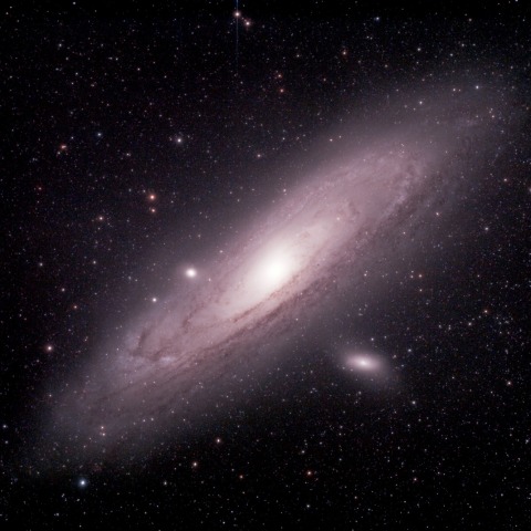 M31