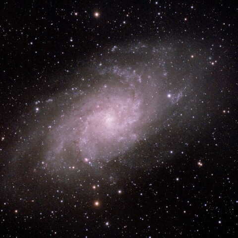 M33