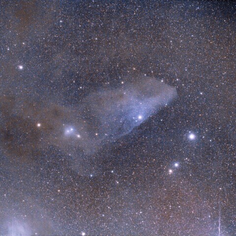 IC4592　青い馬の首星雲