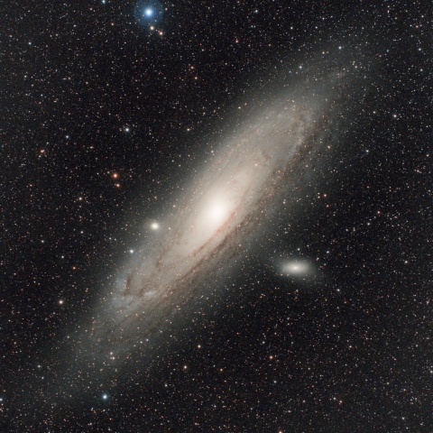 M31
