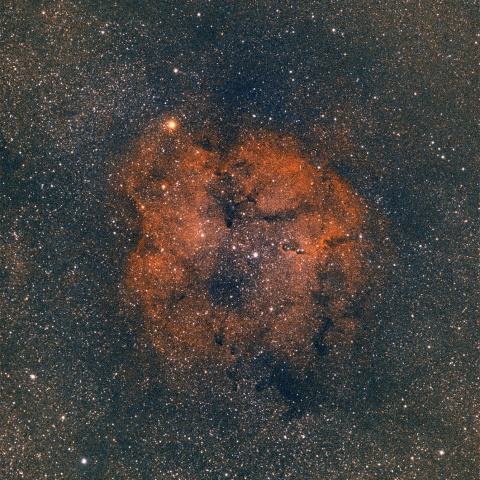 IC1396