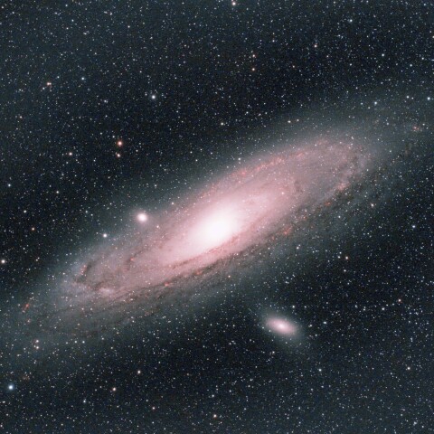 M31