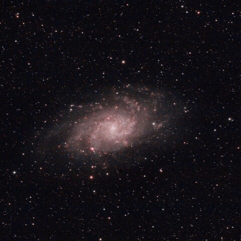 M33