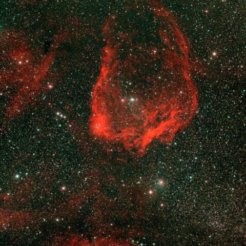 Sh2-129 ダイオウイカ星雲
