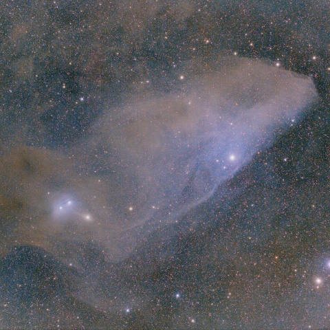 IC4592 青い馬の首星雲
