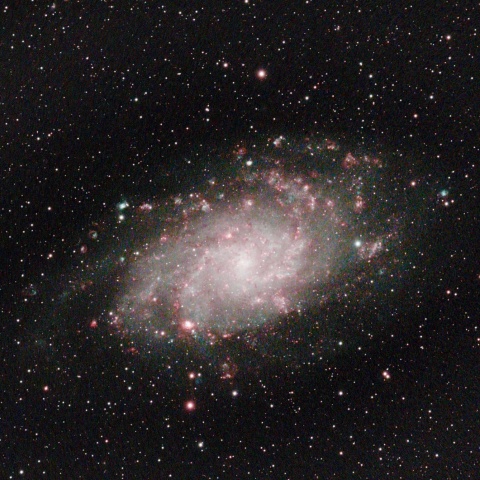 M33