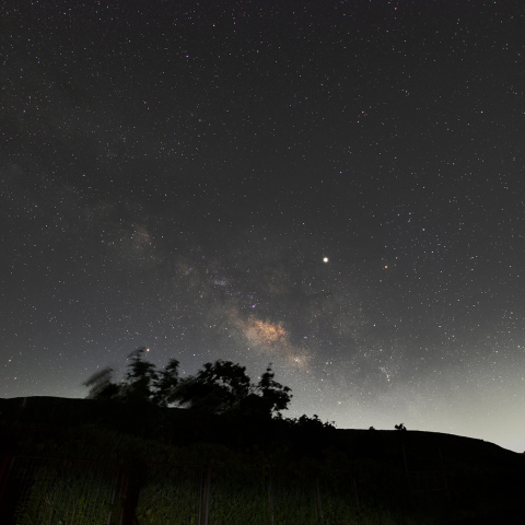 夏の天の川　2019