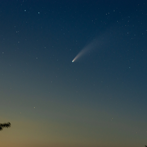 ネオワイズ彗星①