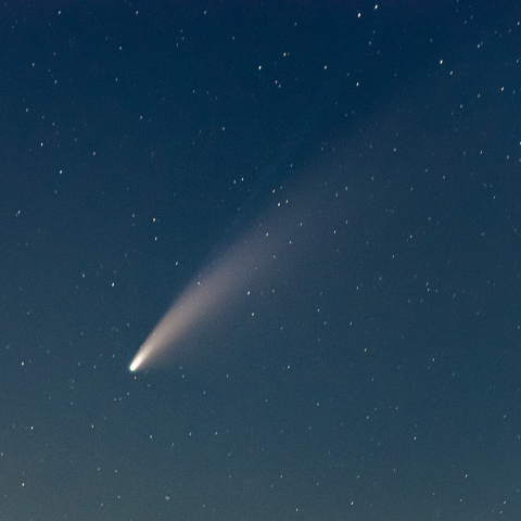 ネオワイズ彗星（135mm）