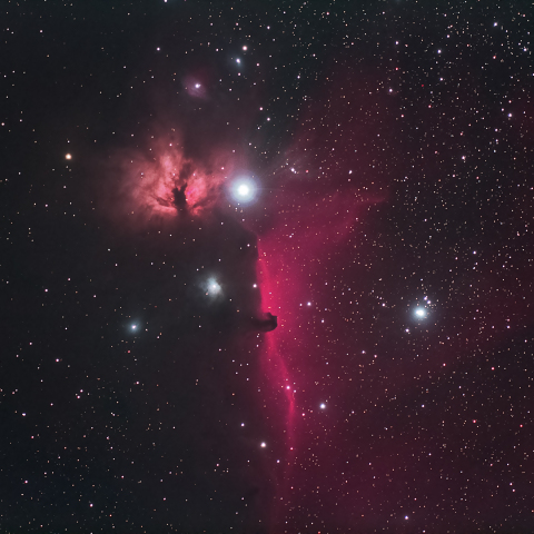 燃える木と馬頭星雲