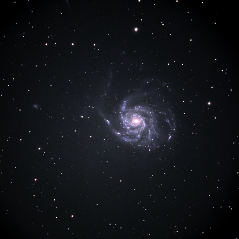 M101
