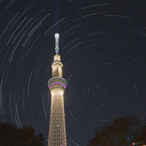 スカイツリーの立つ北天（晩秋・雅）